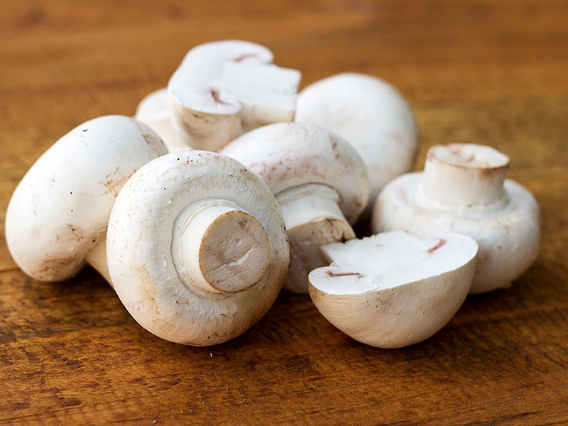 Mushroom