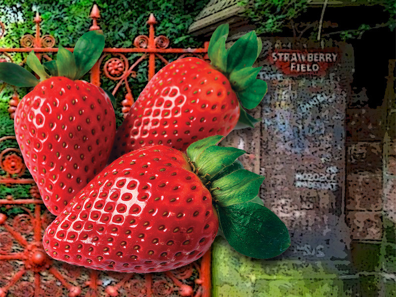 Strawberries