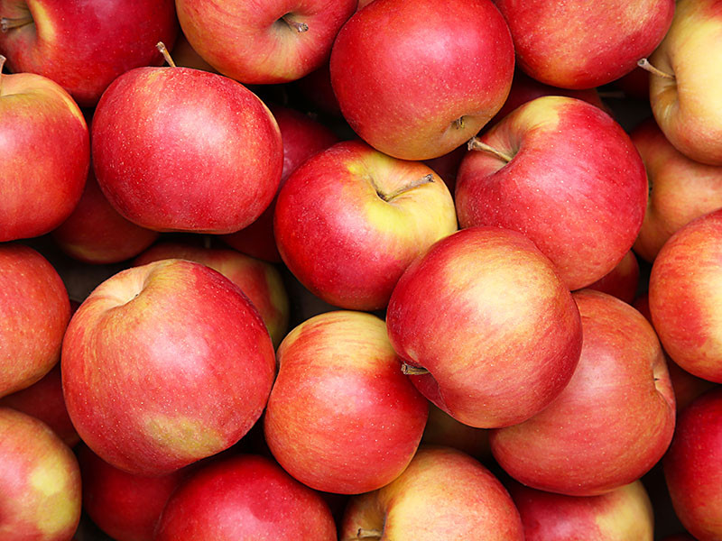 Apples