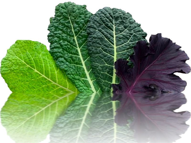 Leafy