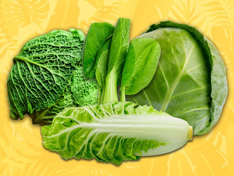 Cabbage