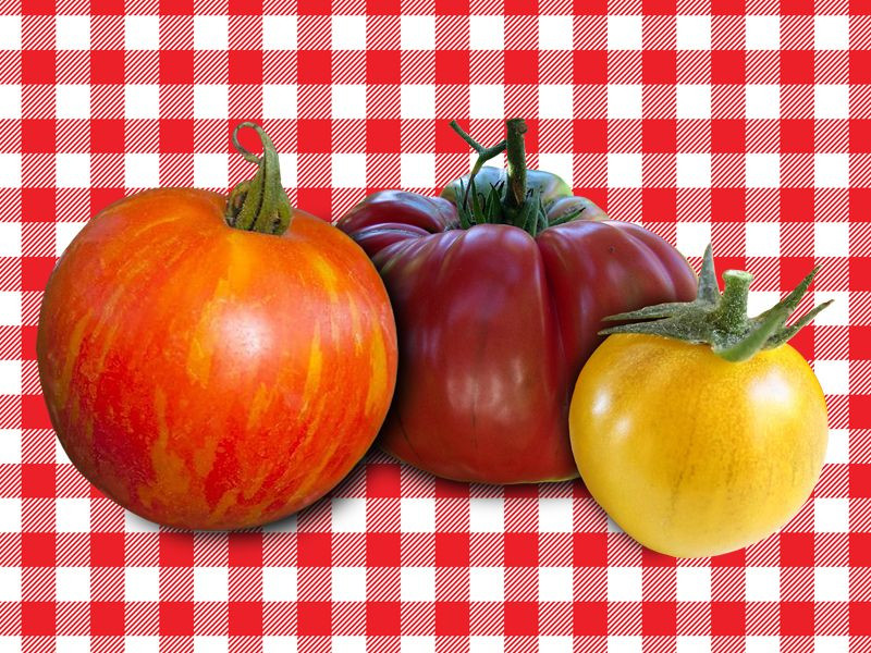 Tomato