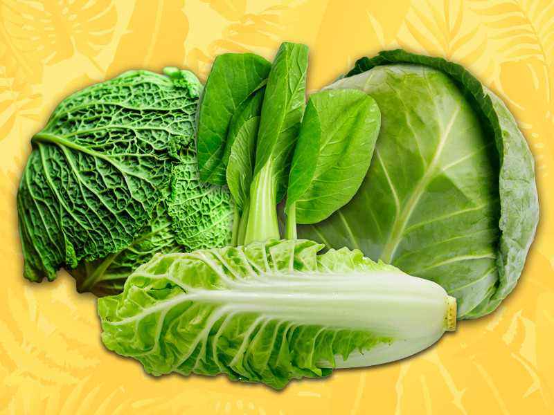 Cabbage